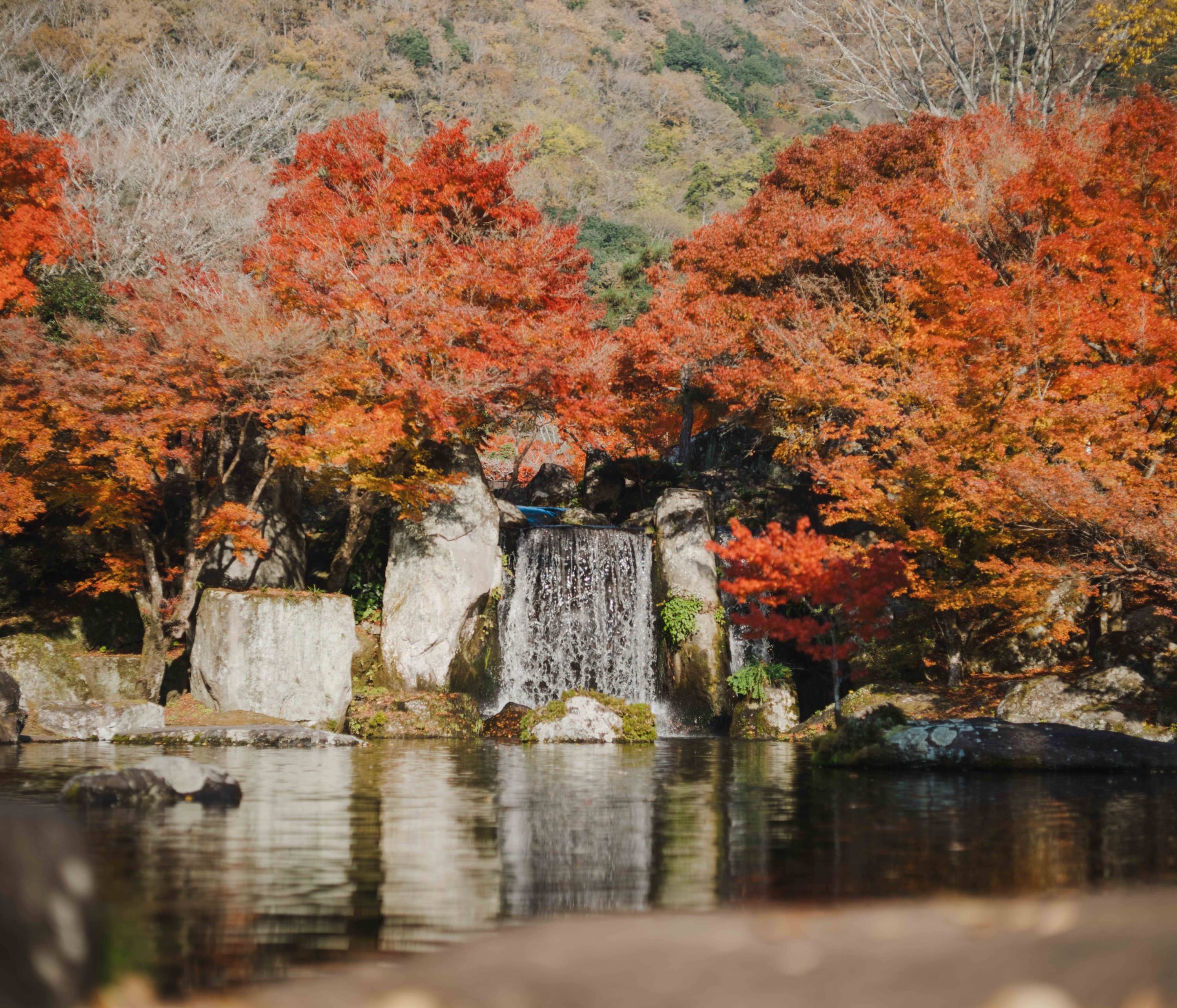 溪石園