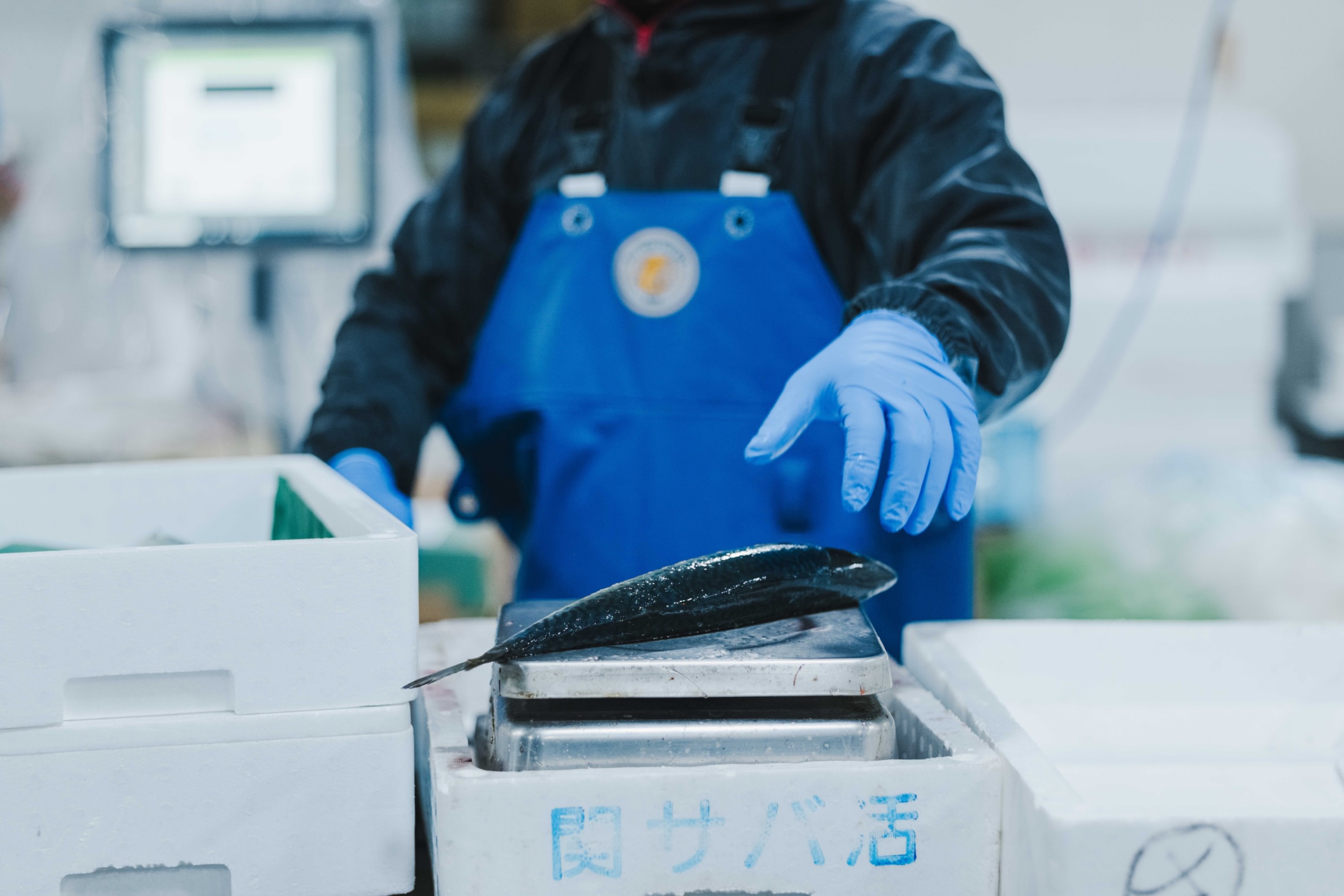 関あじ・関さば