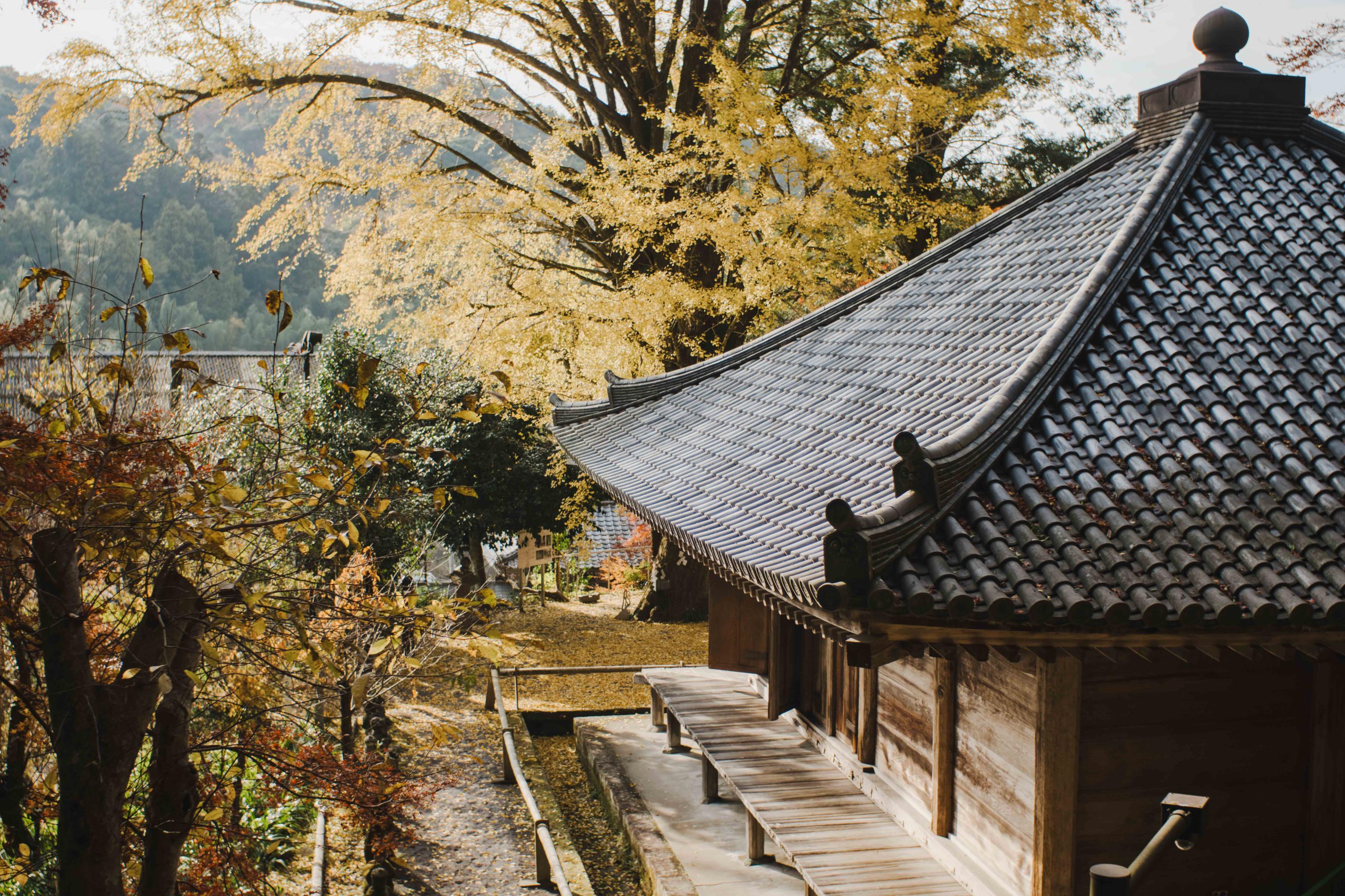 六郷満山文化