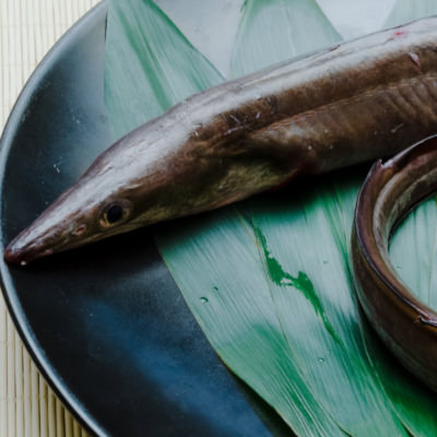 鱧料理
