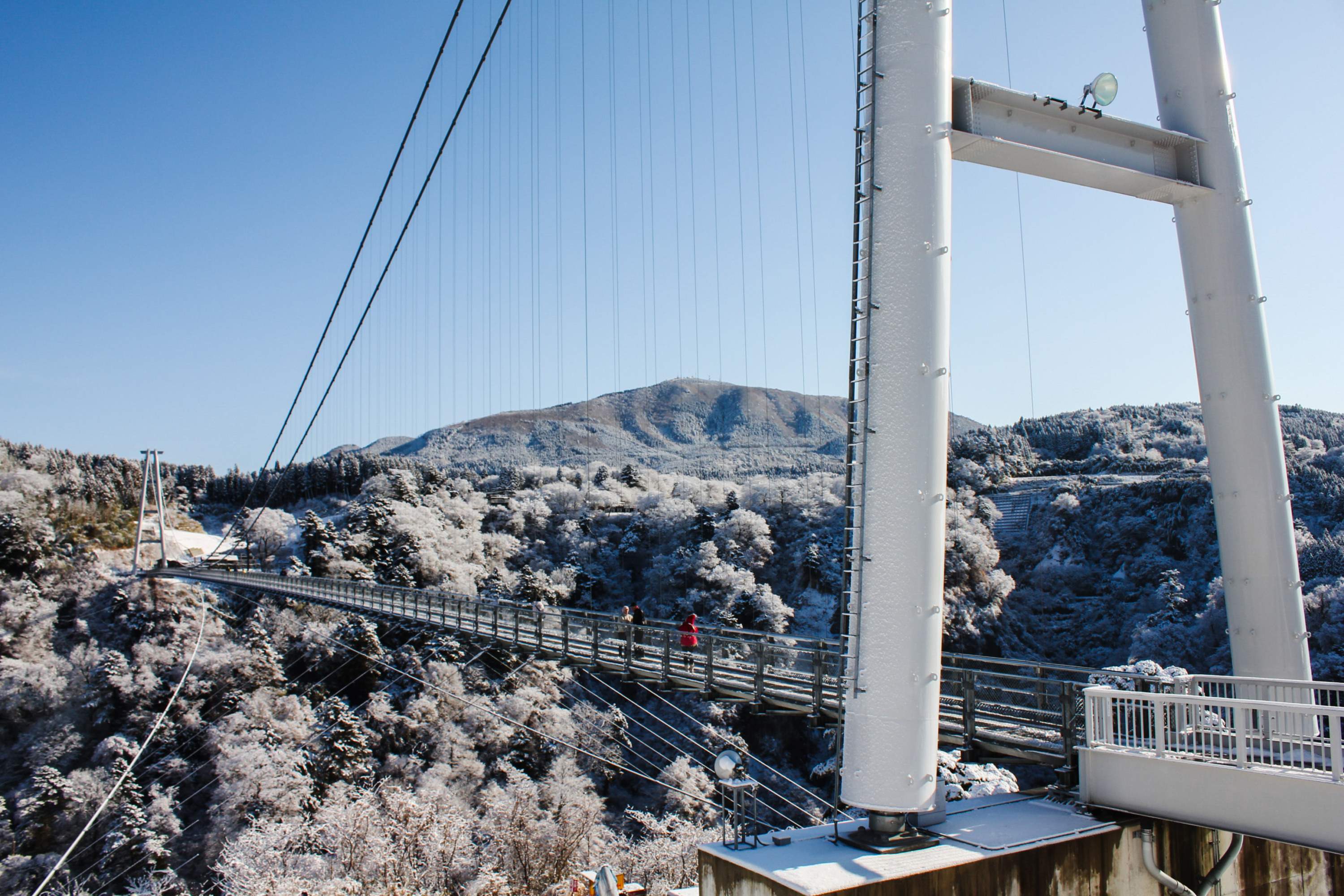 九重“夢”大吊橋