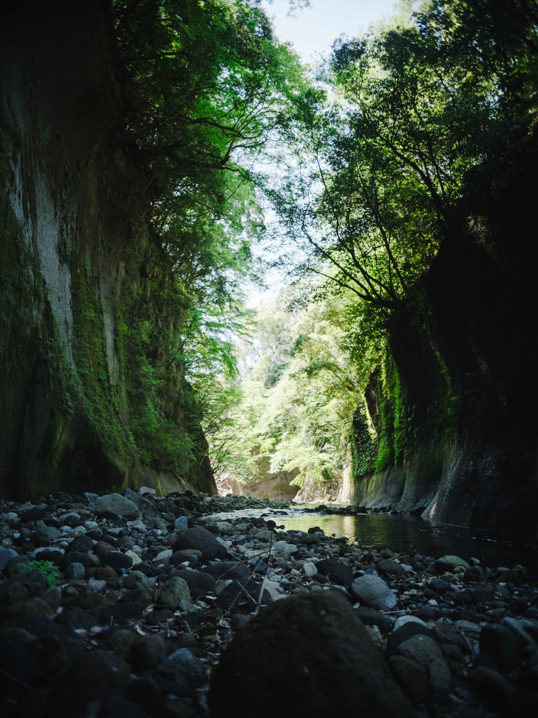 由布川峡谷
